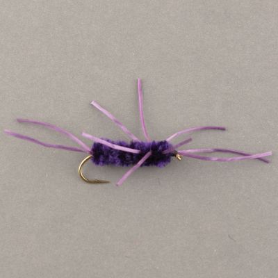 SPECKLED GIRDLE BUG Purple thumbnail