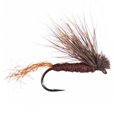 X CADDIS Brown thumbnail