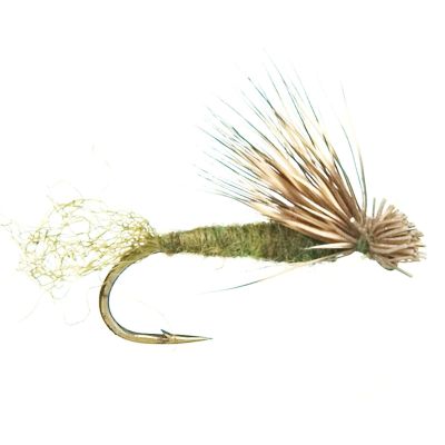 X CADDIS Olive thumbnail