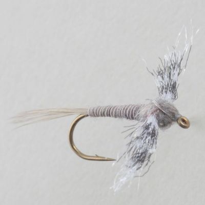 CALLIBAETIS SPINNER thumbnail