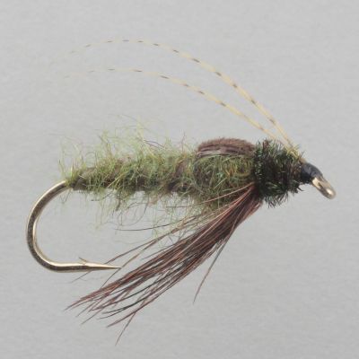 BC SEDGE PUPA Olive thumbnail