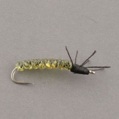 CADDIS LARVA Stal Olive thumbnail