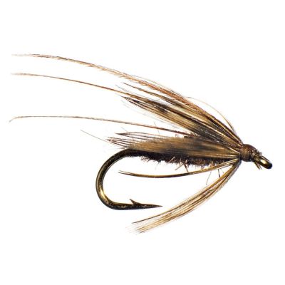 CADDIS PUPA Brown thumbnail