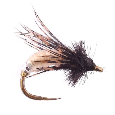 GRAPHIC CADDIS Cream thumbnail