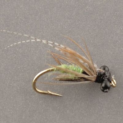 CADDIS PUPA Natural Mint thumbnail