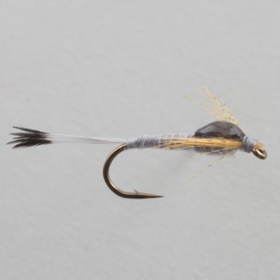 EMERGER CALLIBAETIS thumbnail