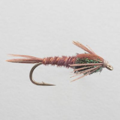 PHEASANT TAIL thumbnail