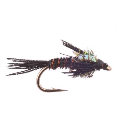 FLASHBACK PHEASANT TAIL Black thumbnail