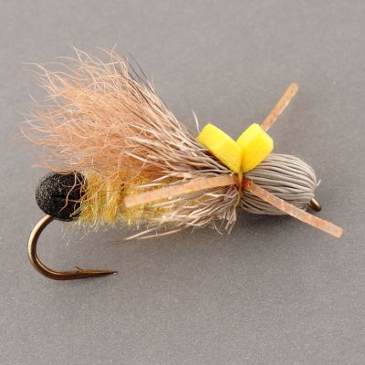 BULLETHEAD Gold Tan Wing thumbnail