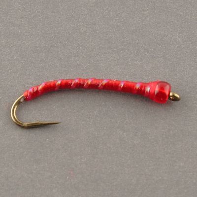 BILLS BLOODWORM thumbnail