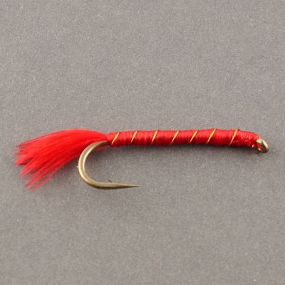 KAMLOOPS BLOODWORM thumbnail