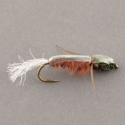 WATER BOATMAN Brown thumbnail