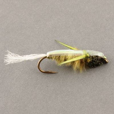 WATER BOATMAN Olive thumbnail