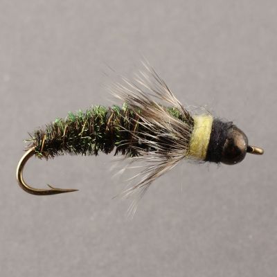 BB CASED CADDIS thumbnail