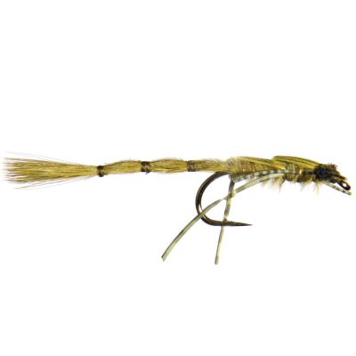 DAMSEL NYMPH BC Light Olive thumbnail