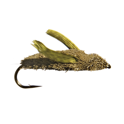 GOMPHUS DRAGON Olive thumbnail