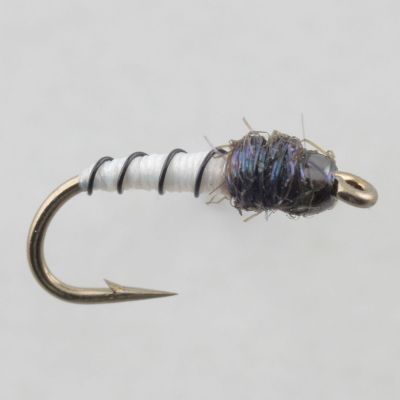 MB MIDGE PUPA thumbnail