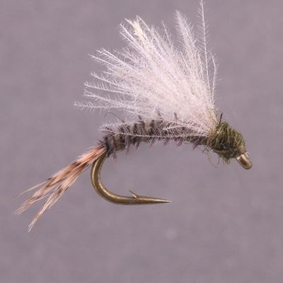 CDC EMERGER BWO thumbnail