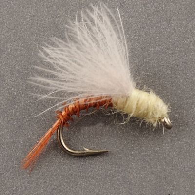 CDC EMERGER PMD thumbnail