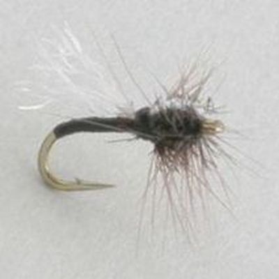 ADULT MIDGE Dark thumbnail