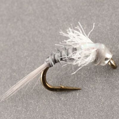 FPA GlassB EMERGER Grey thumbnail