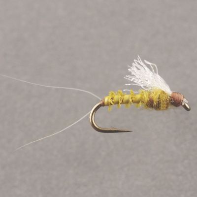 Wm's SPLIT TAIL Biot RS-2 Olive thumbnail