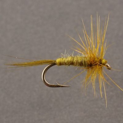 MIDGE Olive thumbnail