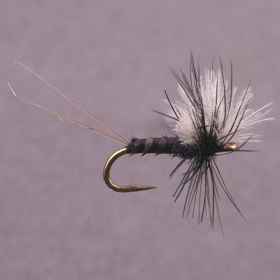 HANGING MIDGE Black thumbnail