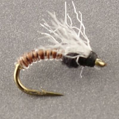 LULUBEE MIDGE C Brown thumbnail