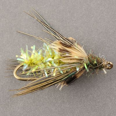 TW SEDGE PUPA Olive thumbnail