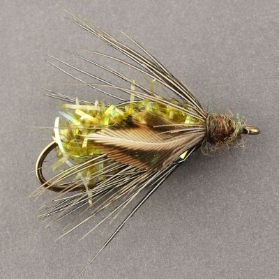 TW SEDGE PUPA Insect Green thumbnail